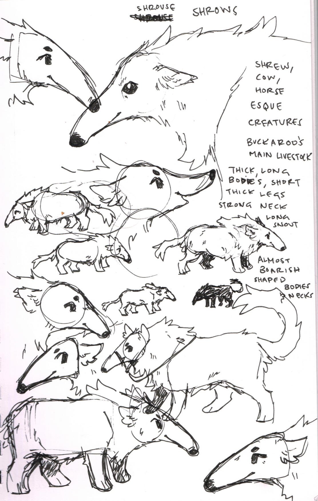 Shrow concept sketches