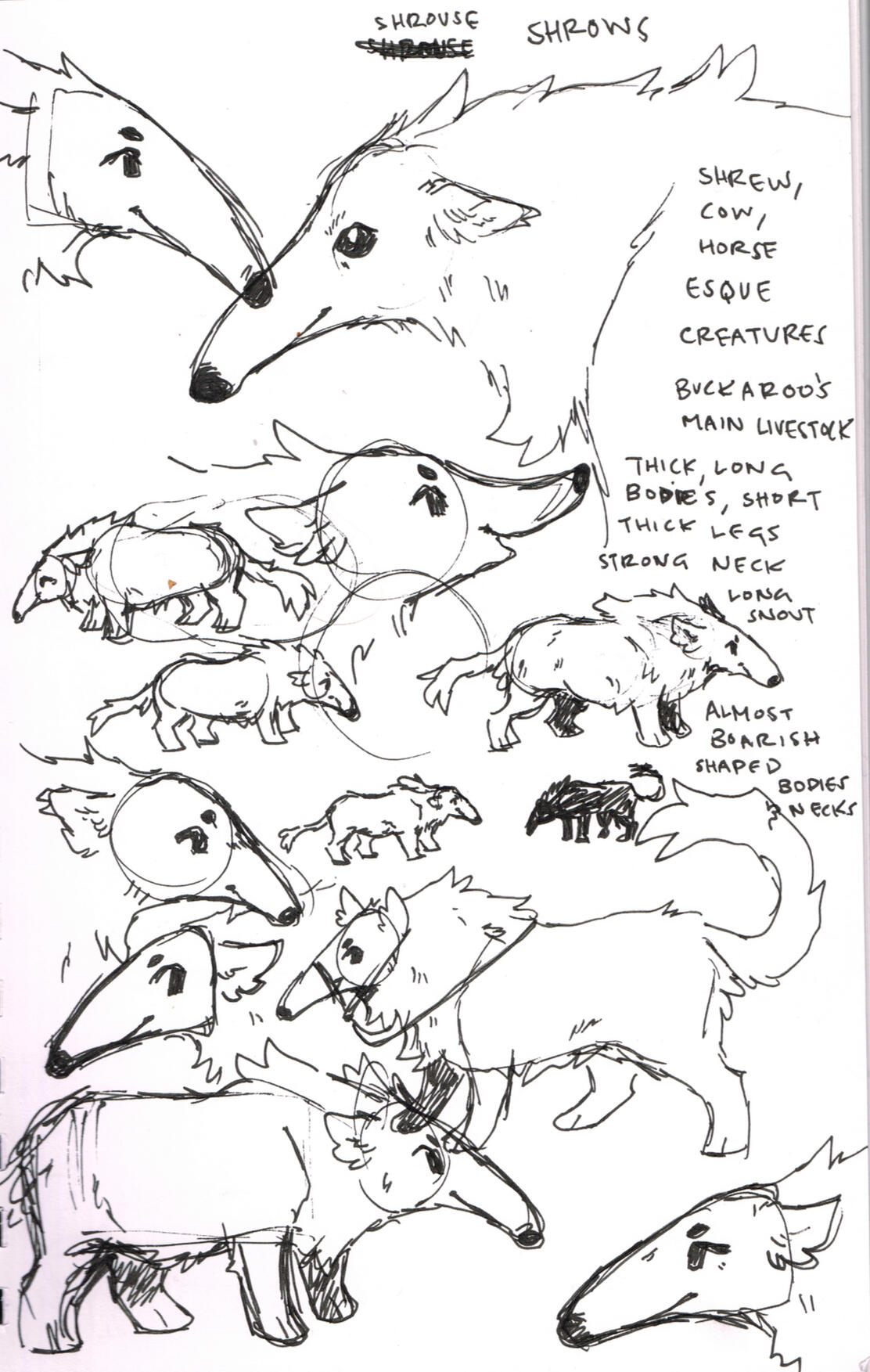 Shrow concept sketches