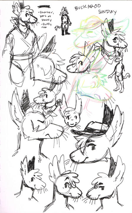 More Buckaroo Sunday concepts